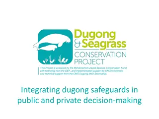 Conservation Efforts for Dugongs and Seagrass in Vanuatu