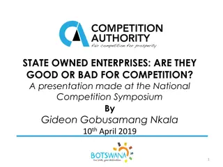 State-Owned Enterprises and Competition: Impact and Implications