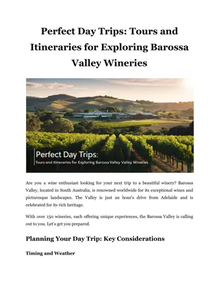 Perfect Day Trips: Tours and Itineraries for Exploring Barossa Valley Wineries