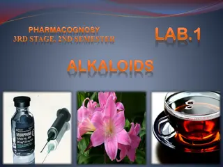 Overview of Alkaloids: Classification, Sources, and Characteristics