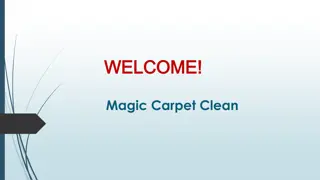 Best Carpet Cleaning Services in Red Beach