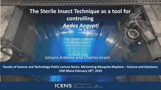 Utilizing Sterile Insect Technique for Aedes Aegypti Control