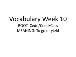 Vocabulary Week 10: Root 