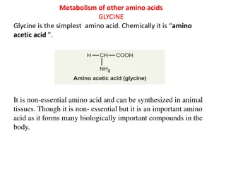 Overview of Glycine Metabolism and Its Importance in the Body