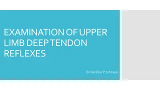 Understanding Upper Limb Deep Tendon Reflexes Examination