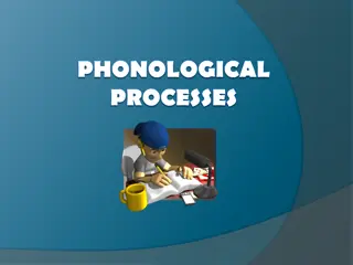 Phonological Processes in English Language