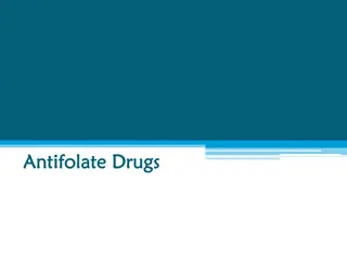 Mechanism of Action of Antifolate Drugs in Bacterial Synthesis