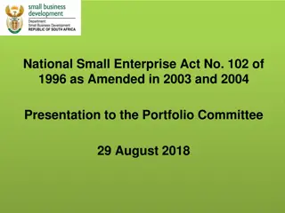 Overview of Amendments to the National Small Enterprise Act of 1996