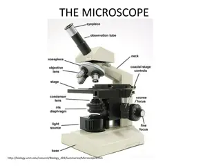 Proper Use of a Microscope: Essential Steps and Tips