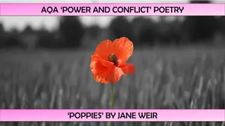 Exploring Connotations of Poppies in Jane Weir's Poem