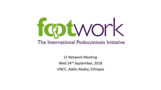 Addressing Podoconiosis: Challenges and Achievements in Ethiopia