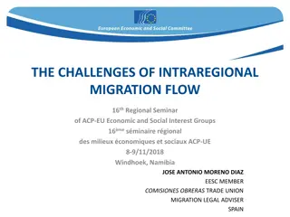 Challenges and Policies in Intraregional Migration Flow and EU Immigration