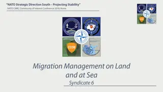 Comprehensive Approach to Migration Management in NATO's Southern Border