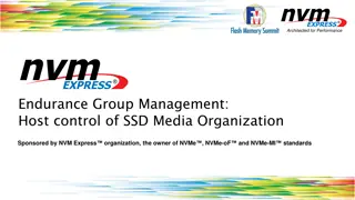 NVMe Endurance Group Management: Enhancing SSD Performance