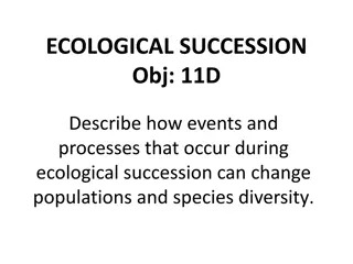 Ecological Succession and Its Impacts