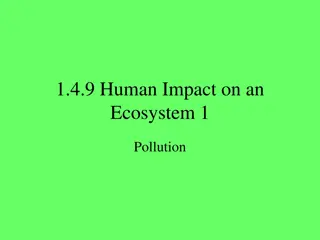 Pollution and its Ecological Impact