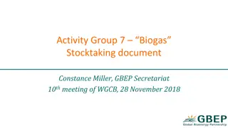 Biogas Stocktaking Document for Activity Group 7