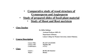 Comparative Study of Wood Structure in Gymnosperms and Angiosperms