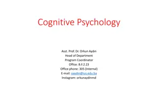 A Day in the Life: Thoughts and Actions of a Cognitive Psychology Student