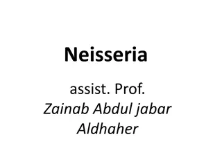 The Genus Neisseria: Pathogens and Characteristics