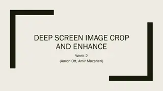 Deep Image Enhancement Project Progress Report