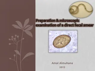 Direct Fecal Smear Preparation and Microscopic Examination Procedure