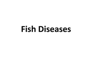 Fish Diseases and Health