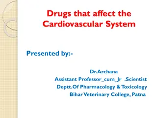 Drugs Affecting the Cardiovascular System: Overview and Mechanisms