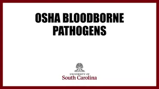 OSHA Bloodborne Pathogens Training and Hepatitis B Virus