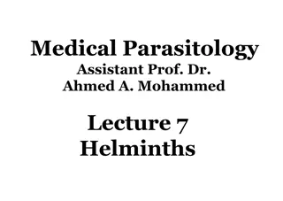 Overview of Ancylostoma duodenale (Hookworm) Infection