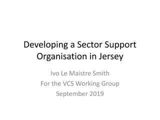 Developing a Sector Support Organisation in Jersey for VCS Working Group