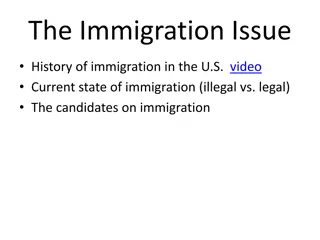 The Immigration Issue in the United States