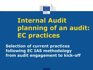 Internal Audit Planning and Practices for Effective Risk Management