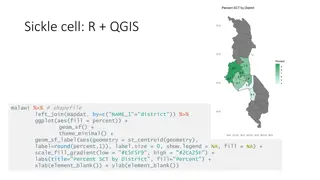 Geographic Data Visualization in R and QGIS for Malawi Health Analysis