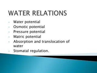 Water Potential and Osmosis in Plants