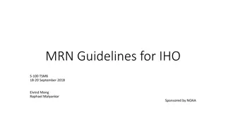 Guidelines for Managing IHO MRNs - High-Level Rules and Recommendations