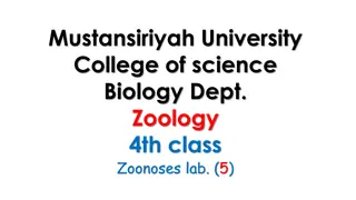 Understanding Dermatomycosis and Dermatophytes in Zoology