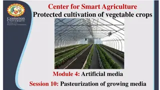 Soil Disinfestation Methods for Greenhouse Crop Production