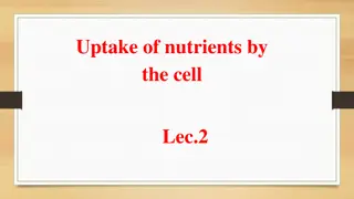 Mechanisms of Nutrient Uptake by Microbial Cells