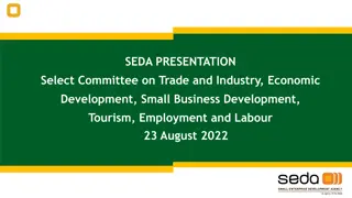 Overview of Seda Programs Supporting Small Enterprises