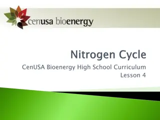 The Nitrogen Cycle and Erosion Process