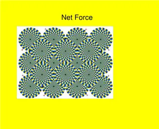 Net Force in Physics