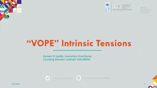 Challenges and Resilience of Evaluation Associations: Insights from VOPEs