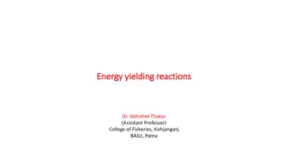 Energy-Yielding Reactions in Biological Systems