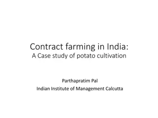 Contract Farming in India: A Case Study of Potato Cultivation