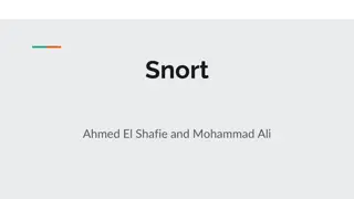 Snort: An Open-Source Network Intrusion Detection System