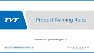 TVT Digital Technology Co., Ltd. Product Naming Rules