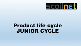 Product Life Cycle Stages and Examples