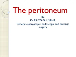 The Peritoneum: Structure, Functions, and Inflammatory Responses