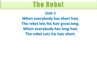 The Rebel Units - Lessons in Contrariness and Individuality